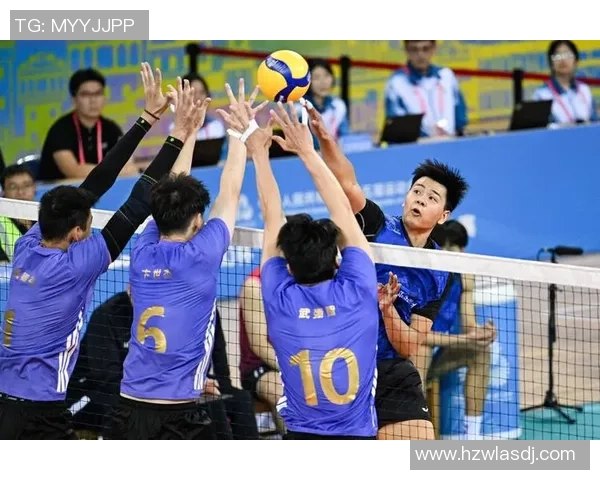 上海排球队的比赛经验分享与成长之路探讨