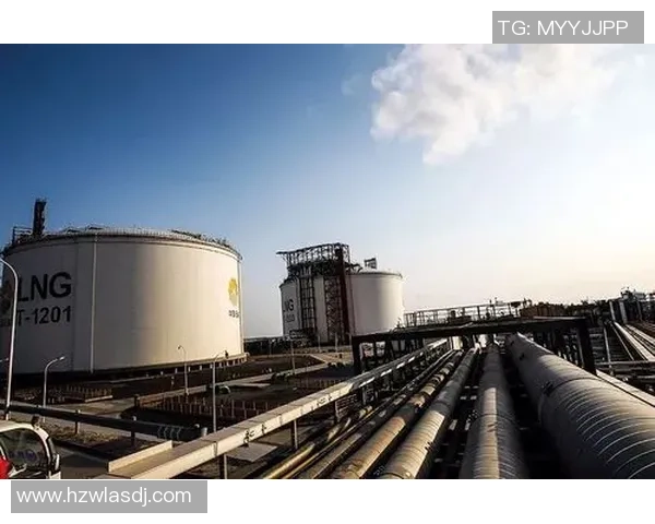 专业解析LNG市场控制策略与运营模式的深度剖析