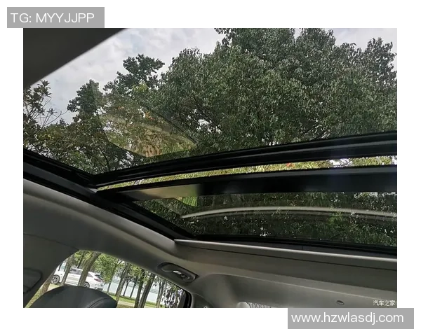 武汉足球队在世界锦标赛中的技术表现分析与未来展望